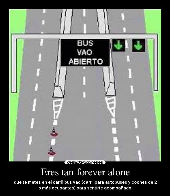 Eres tan forever alone - que te metes en el carril bus vao (carril para autobuses y coches de 2
o más ocupantes) para sentirte acompañado.