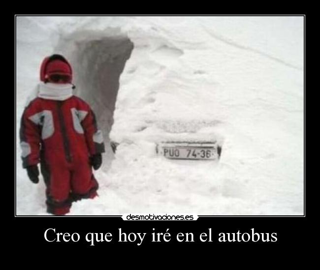 Creo que hoy iré en el autobus -