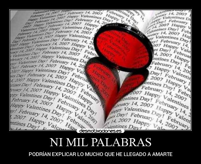 NI MIL PALABRAS -
