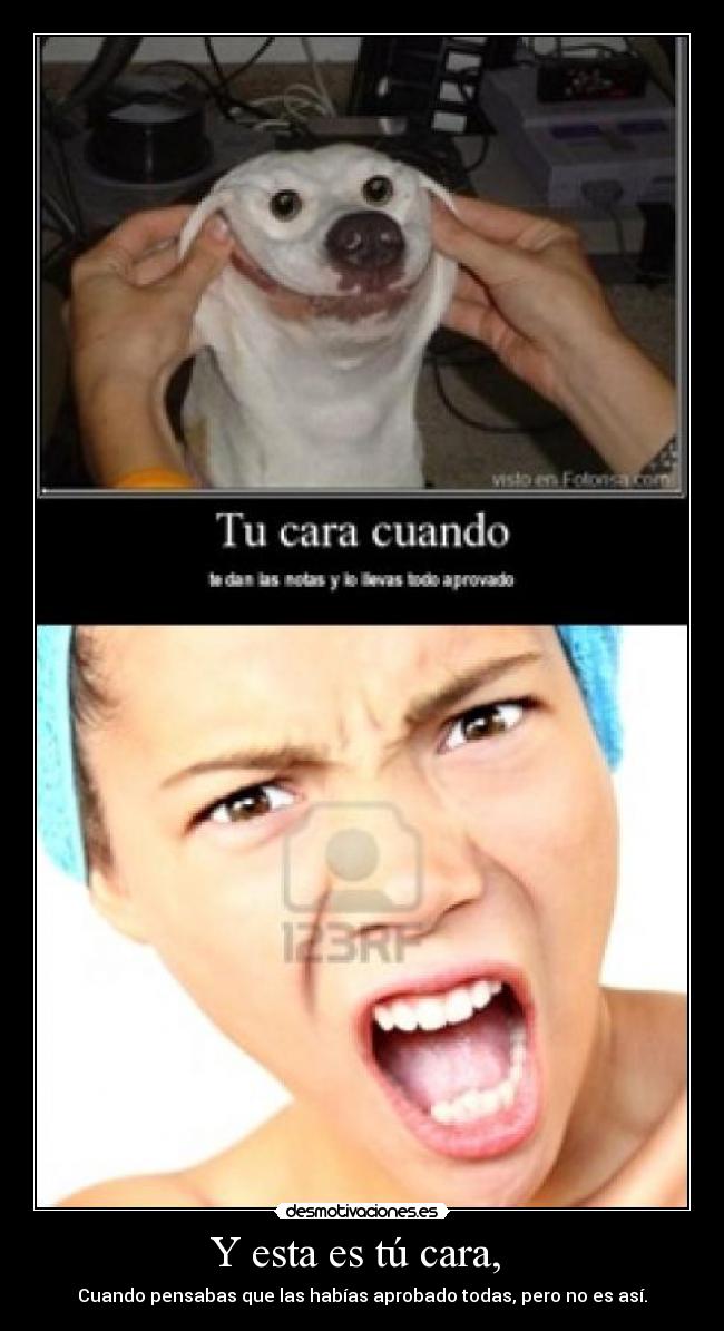 Y esta es tú cara,  - 