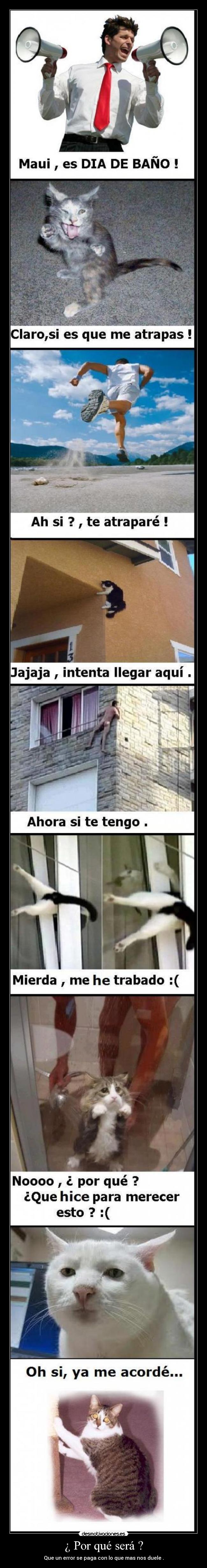 carteles venganza desmotivaciones