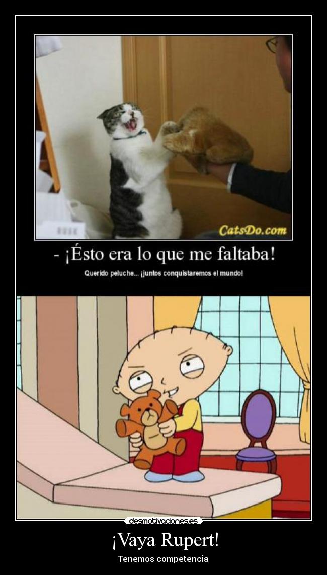 carteles peluche padre familia stewie griffin dominar mundo tenemos competencia desmotivaciones