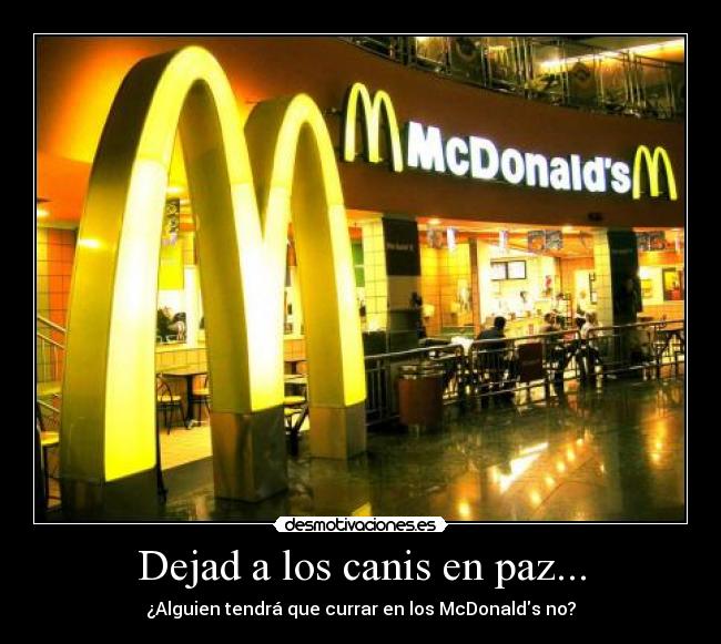 Dejad a los canis en paz... - ¿Alguien tendrá que currar en los McDonalds no?