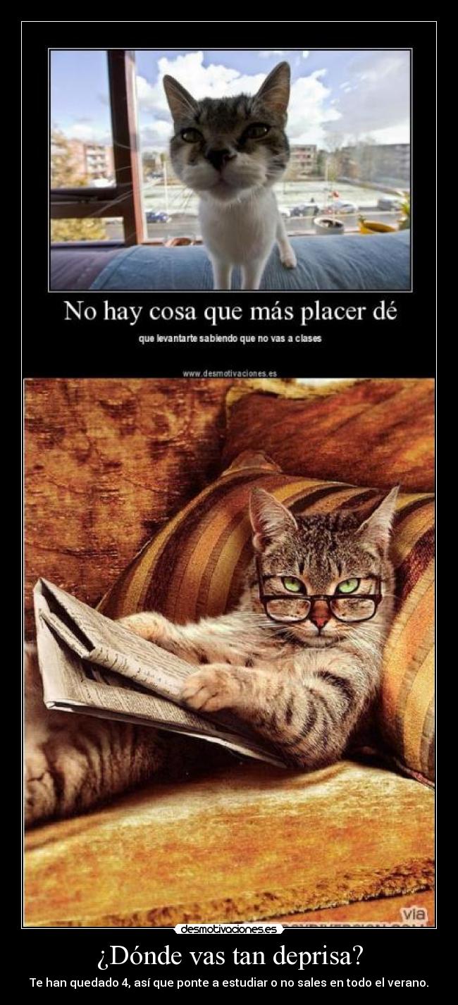 ¿Dónde vas tan deprisa? -