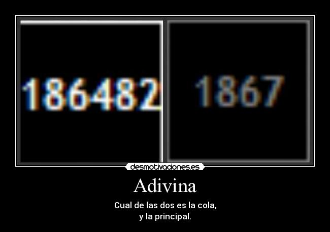 Adivina - Cual de las dos es la cola,
y la principal.