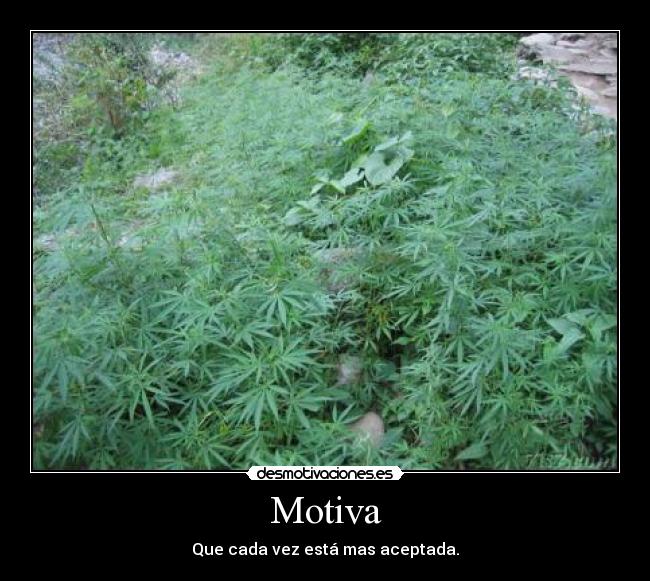 Motiva -