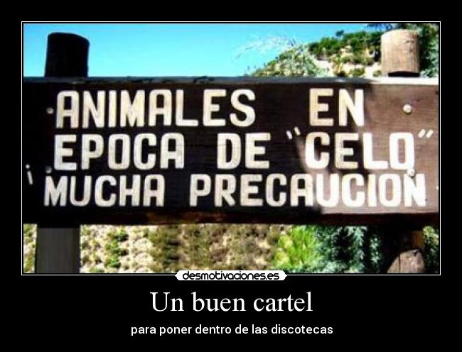 Un buen cartel - 
