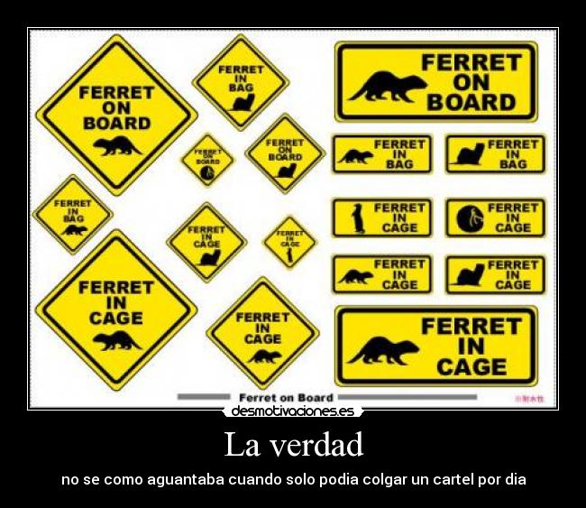 La verdad - no se como aguantaba cuando solo podia colgar un cartel por dia