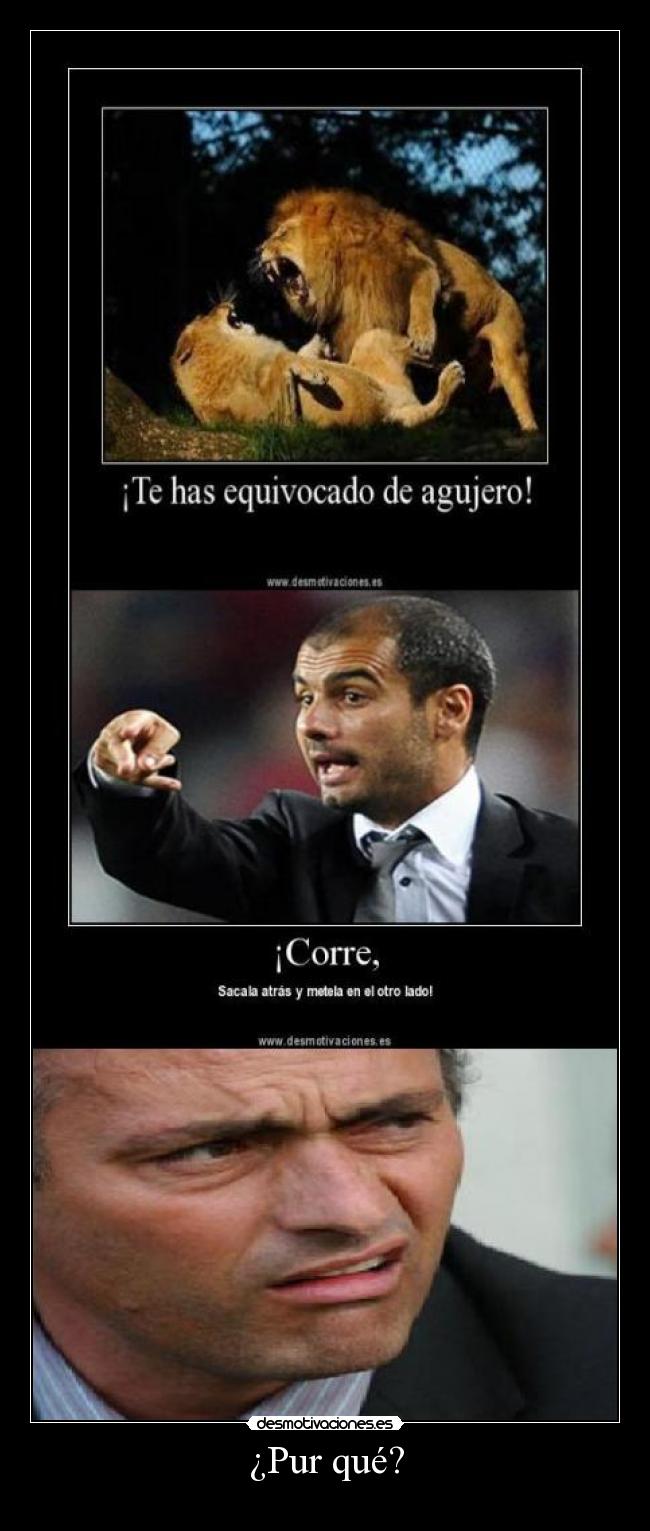 ¿Pur qué? -