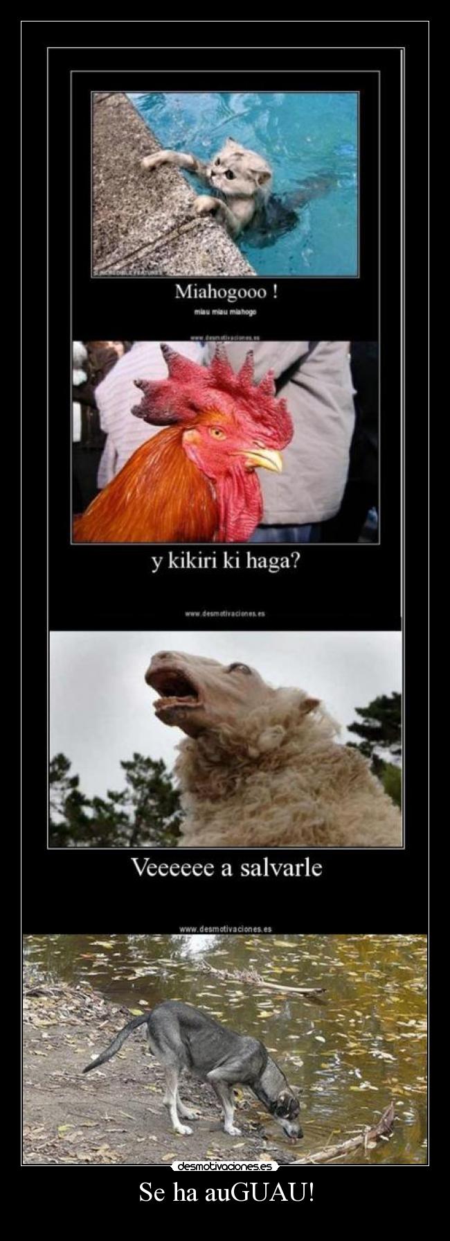 Se ha auGUAU! - 