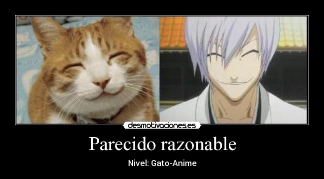Parecido razonable - Nivel: Gato-Anime
