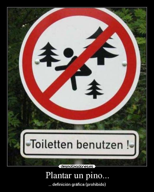 Plantar un pino... - 