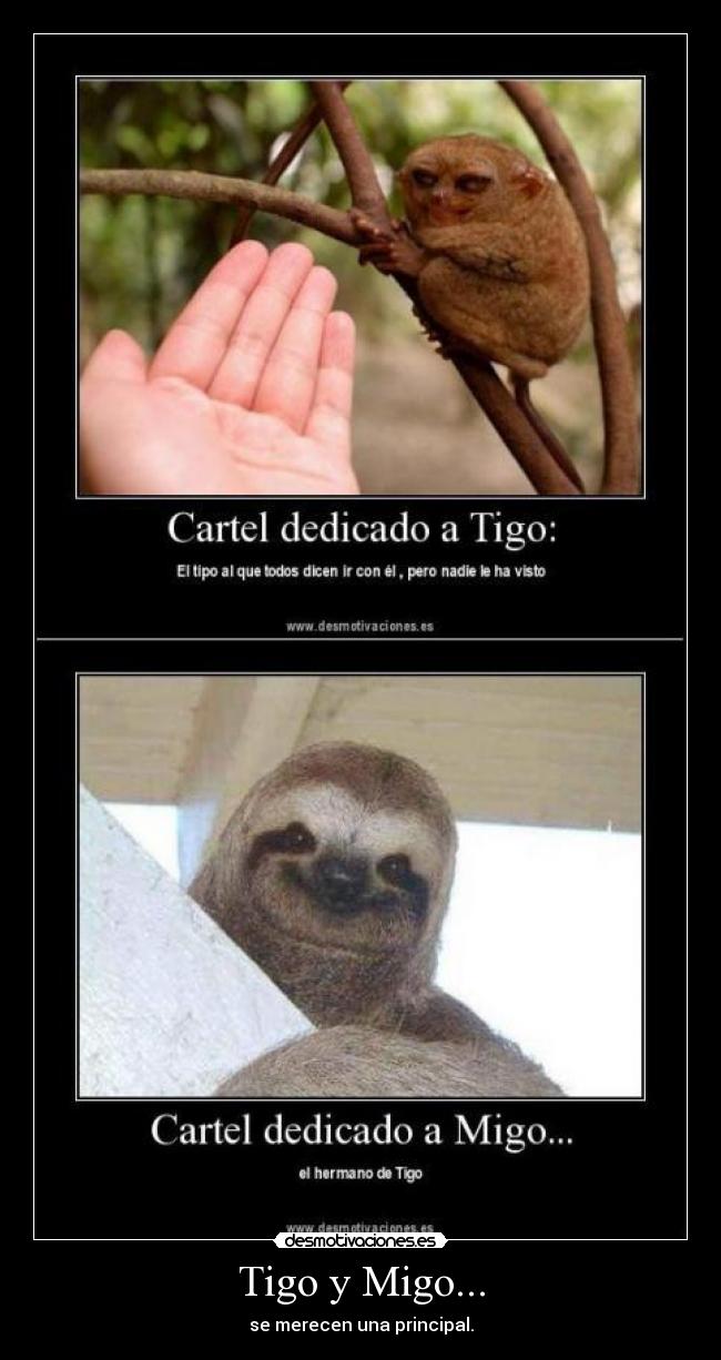 Tigo y Migo... - se merecen una principal.