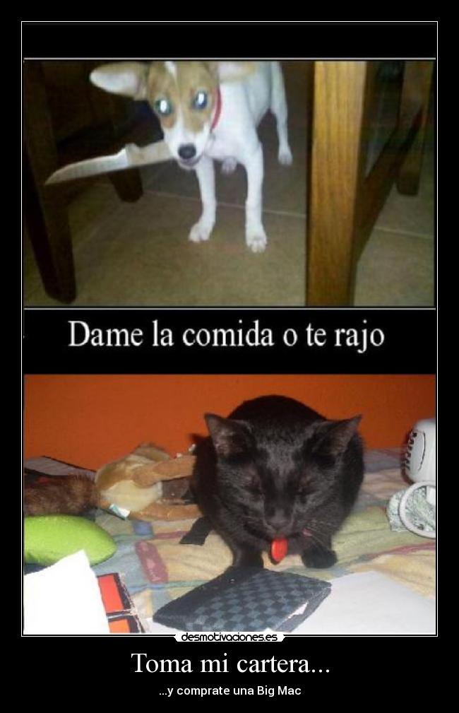 Toma mi cartera... - ...y comprate una Big Mac