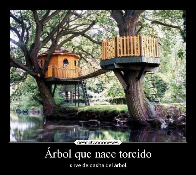 carteles casita arbol torcido nace sirve desmotivaciones