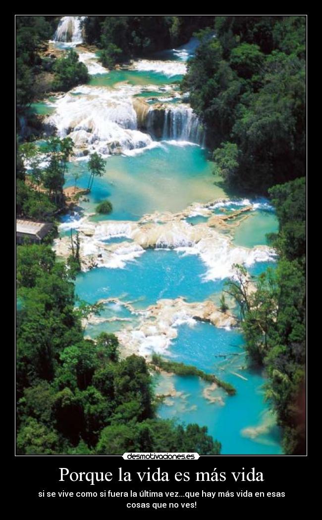 Porque la vida es más vida - si se vive como si fuera la última vez...que hay más vida en esas cosas que no ves!