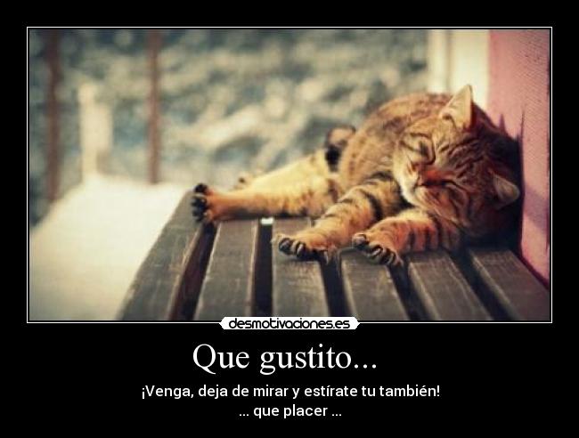 carteles que gustito venga vamos deja mirar estirate tambien placer desmotivaciones