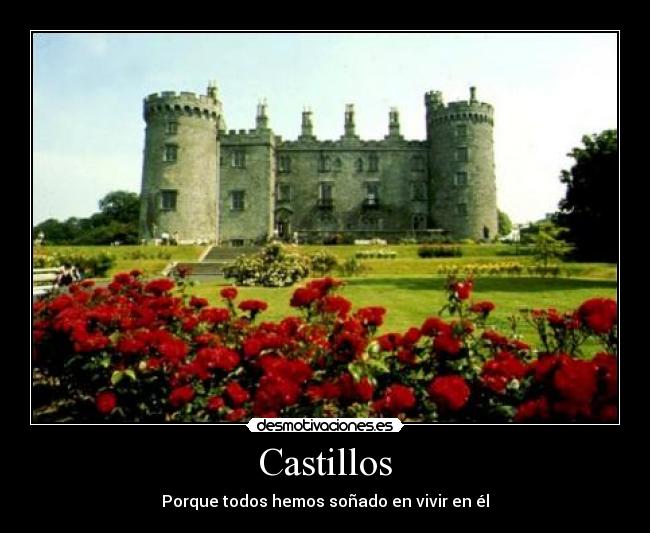 carteles castillo desmotivaciones