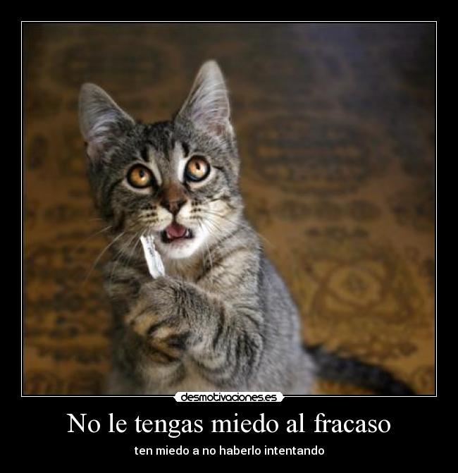 No le tengas miedo al fracaso -