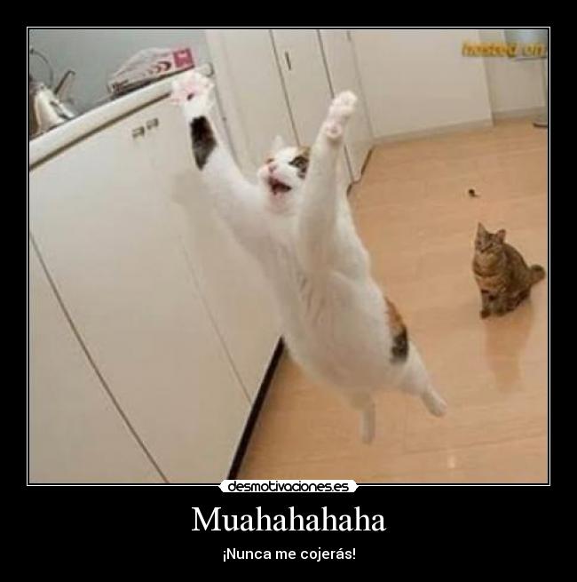 Muahahahaha - ¡Nunca me cojerás!