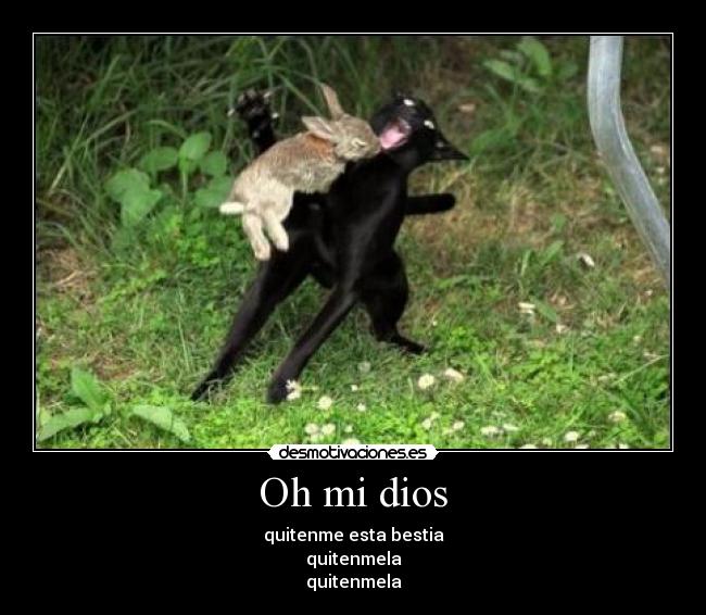 Oh mi dios - quitenme esta bestia
quitenmela
quitenmela