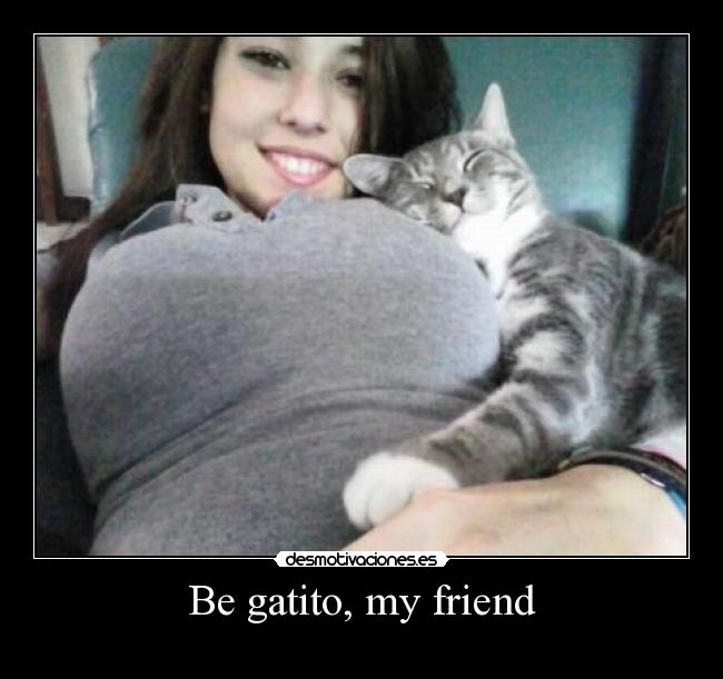 Be gatito, my friend -