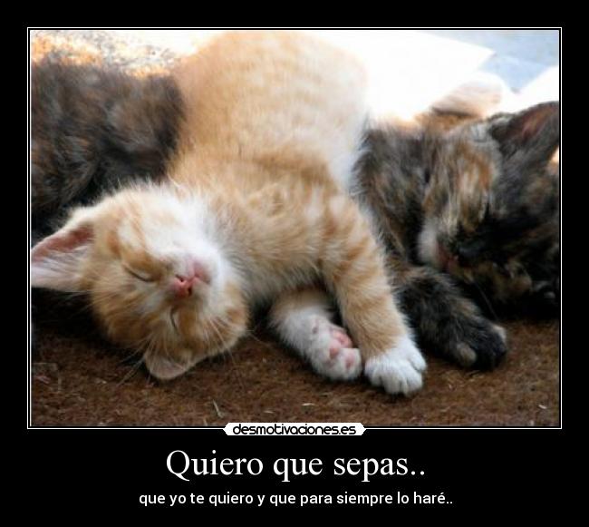 Quiero que sepas.. - 