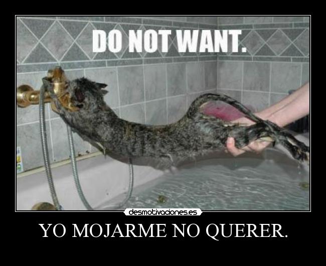 YO MOJARME NO QUERER. - 