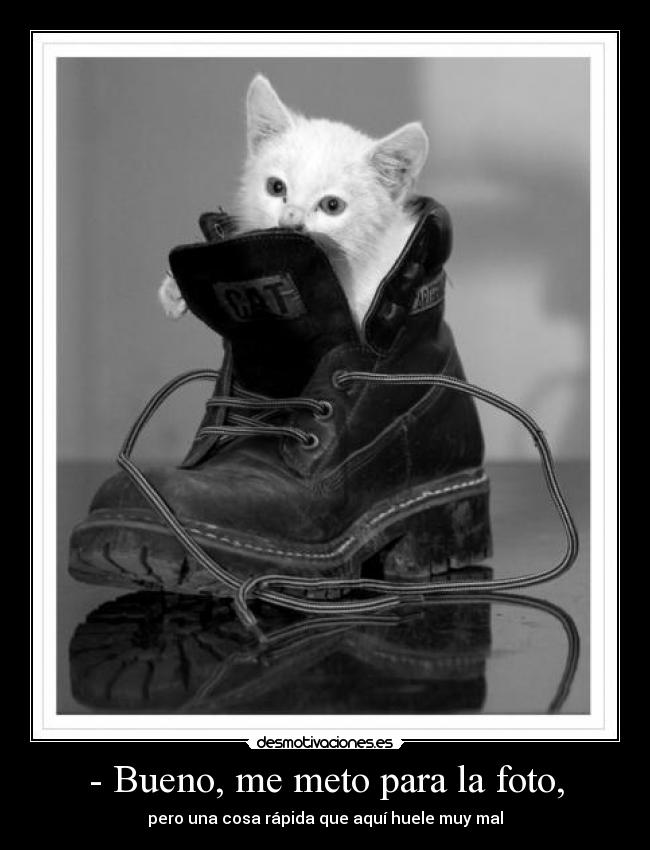 - Bueno, me meto para la foto, - 