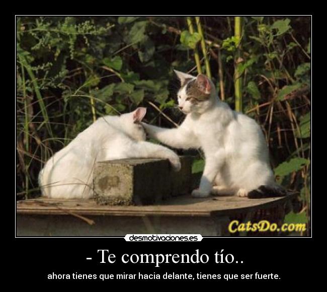 - Te comprendo tío.. - ahora tienes que mirar hacia delante, tienes que ser fuerte.