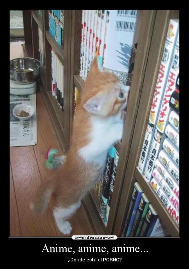 Anime, anime, anime... - 