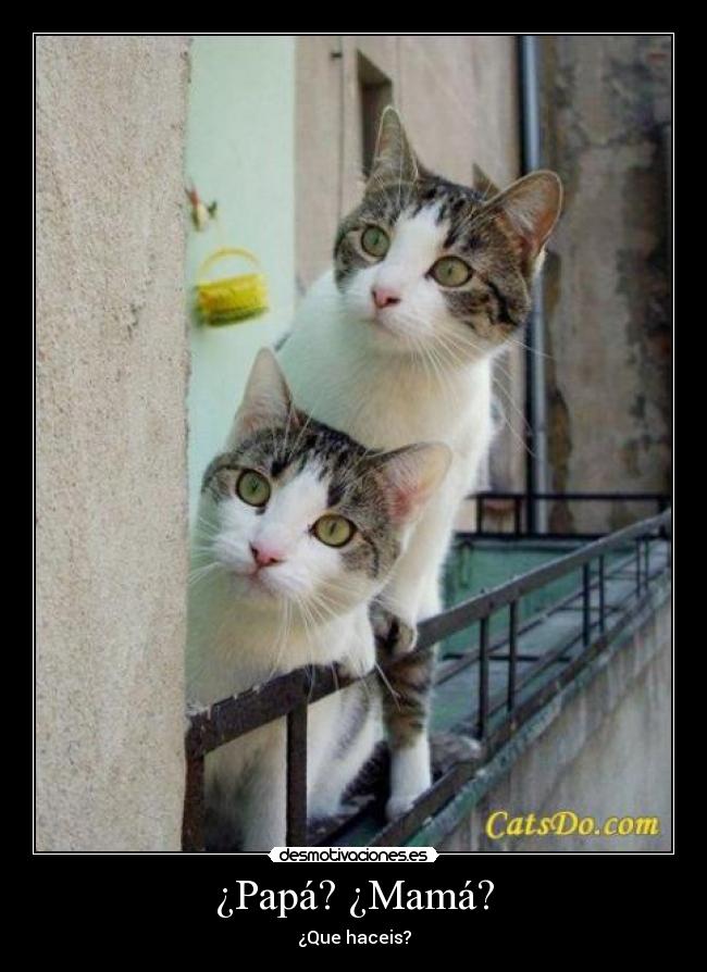 ¿Papá? ¿Mamá? - ¿Que haceis?