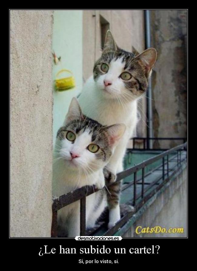 ¿Le han subido un cartel? - 
