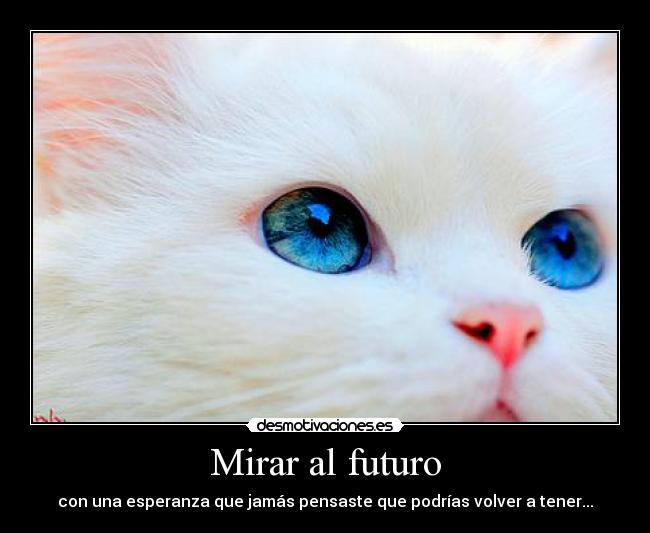 Mirar al futuro - 