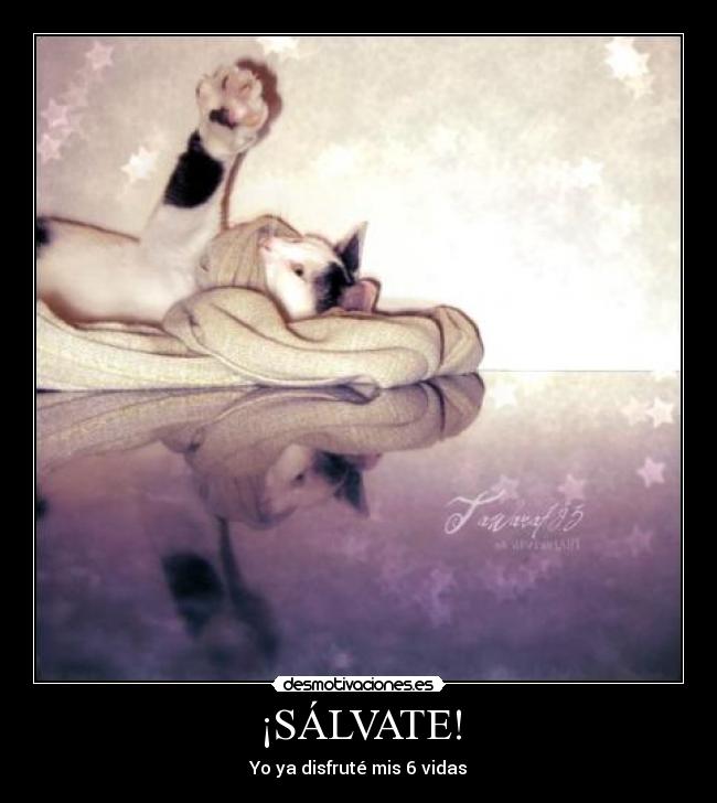 ¡SÁLVATE! - Yo ya disfruté mis 6 vidas