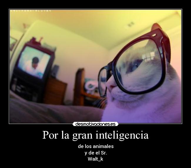 Por la gran inteligencia -