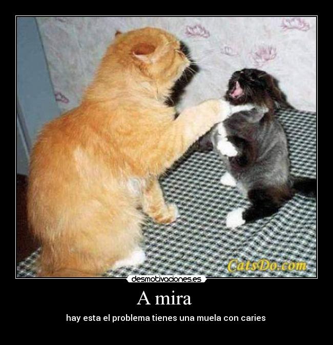 A mira - hay esta el problema tienes una muela con caries