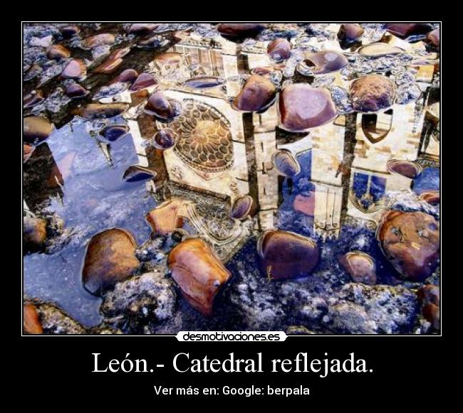 León.- Catedral reflejada. - 
