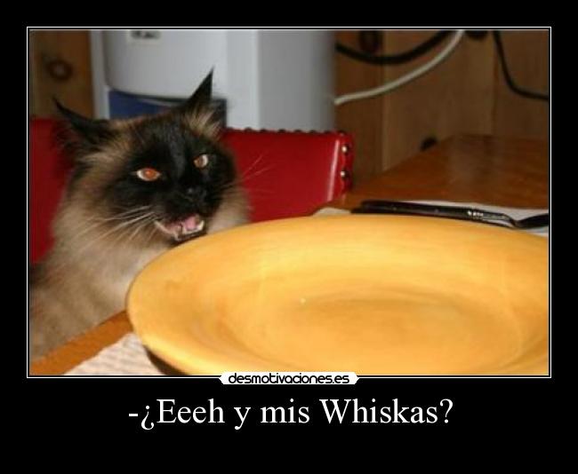-¿Eeeh y mis Whiskas? - 