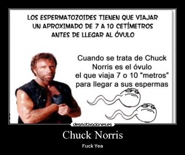 Chuck Norris - Fuck Yea