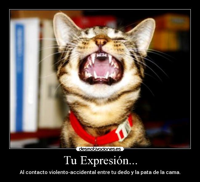 Tu Expresión... -