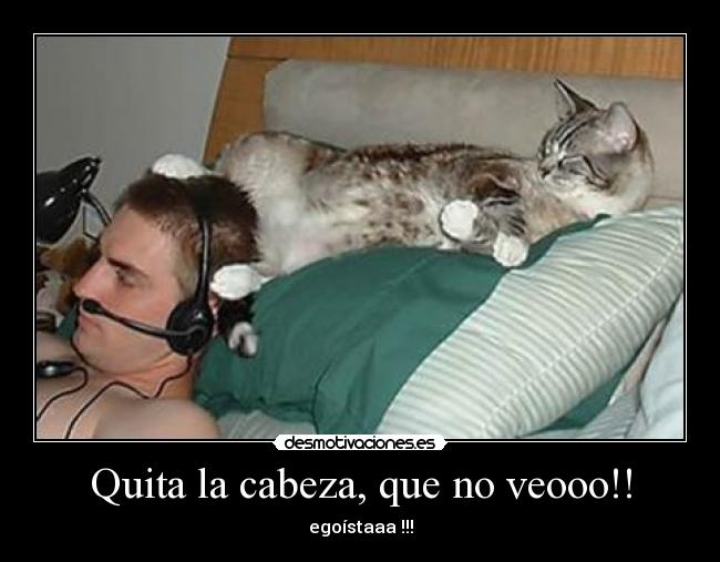 Quita la cabeza, que no veooo!! - 