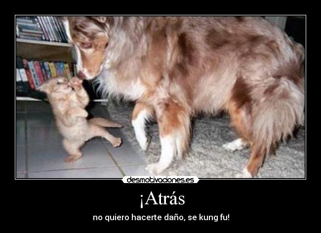 ¡Atrás - no quiero hacerte daño, se kung fu!