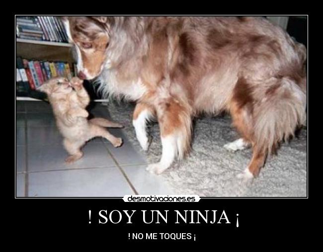 ! SOY UN NINJA ¡ - ! NO ME TOQUES ¡