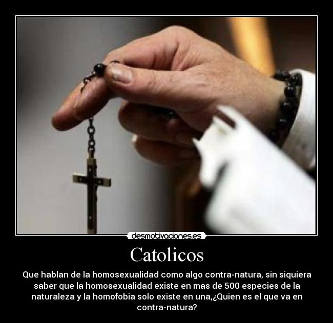 Catolicos -