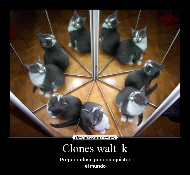 Clones walt_k - Preparándose para conquistar
el mundo