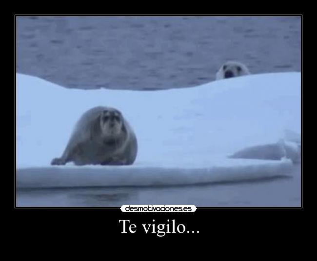 Te vigilo... -