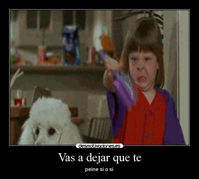 Vas a dejar que te - peine si o si