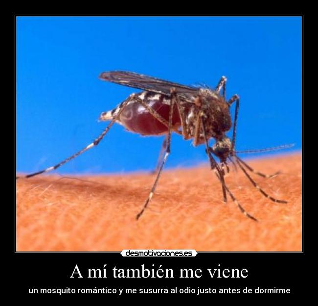 A mí también me viene - 