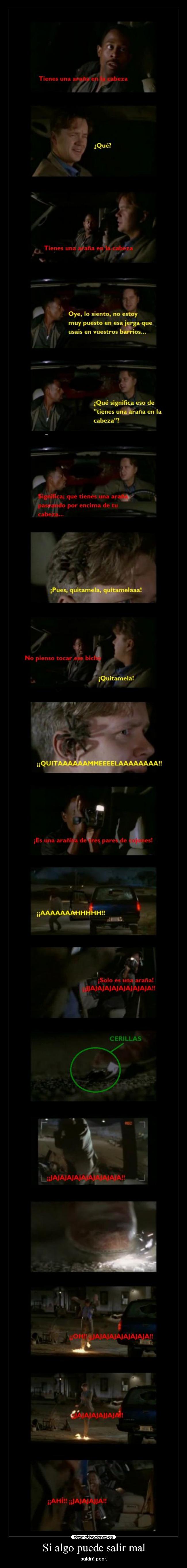 Si algo puede salir mal -